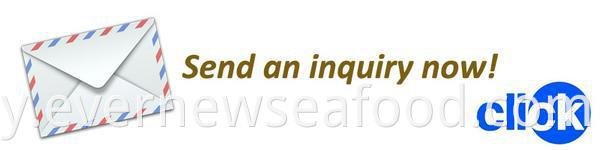 အေးခဲထားသော mackerel မွေးမြူရေးငါး